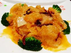 酸辣广肚-萧记三鲜烩面(黄河南路店)