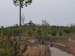 -马家湾湿地公园