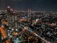 -东京都厅舍