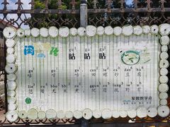 -军营村