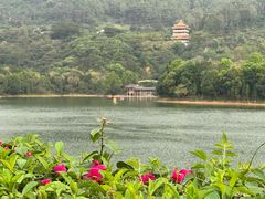 -水濂山森林公园