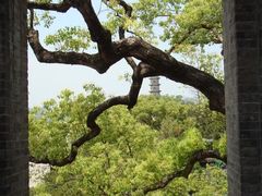 -江心屿景区