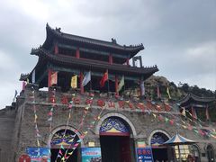 -西霞口神雕山野生动物世界