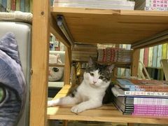 -小时光咖啡馆(开森度假森林店)