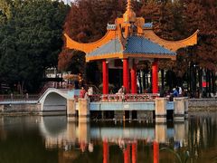 -金砂公园