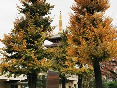 -浅草寺