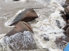 -那琴半岛地质海洋公园