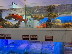 -金苑海鲜酒家(来魅力店)
