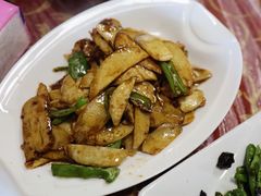 -阿巧茶庄