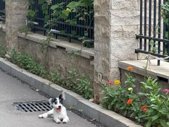 -心仪动物医院·牙专科·肿瘤·心脏科(西客站院)