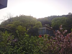 -天怡·鱼工厂(梅溪湖店)