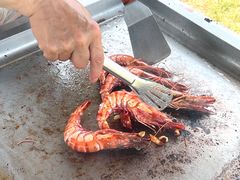 -潭柘厚院(桑峪村店)