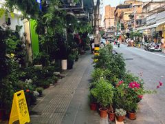 -溪岸路花鸟市场