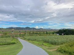 -光明小镇欢乐田园