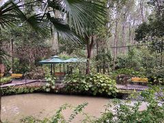 -合肥滨湖国家森林公园