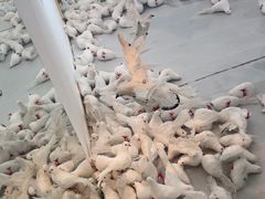 -成都梵高星空艺术馆(春熙路旗舰店)