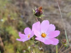 -丽江泸沽湖景区