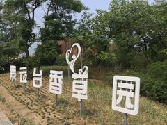 -紫云台香草园