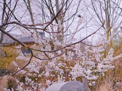 -大连北马山庄
