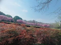 -白塘生态植物园