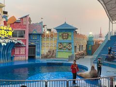 -华夏文旅海洋公园