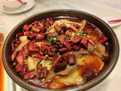 -孔雀云贵川·融合菜(长宁来福士店)
