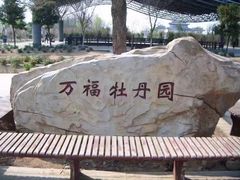 -合肥三国新城遗址公园