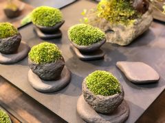 -植觉