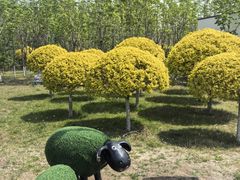 -辽宁团山国家级海洋公园