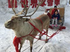 门面-北京鹿世界主题园