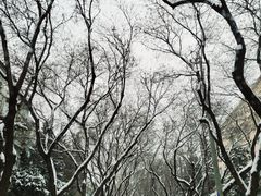 -王府井天主教堂