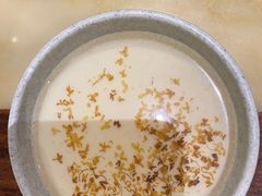 杏仁豆腐-情满四合院•京菜•烤鸭(动物园店)