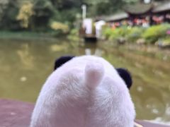 -青城山