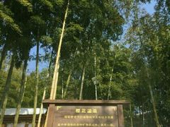 -江南天池高山汤泉城