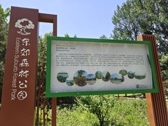 -东郊湿地公园