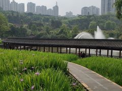 -龙头寺公园