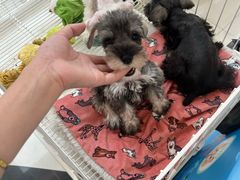-汇德隆银隆