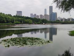 -后襄河公园