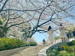 -杭州少年儿童公园