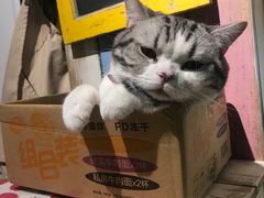 -小时光咖啡馆(开森度假森林店)