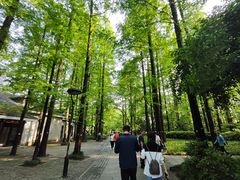 -西湖外事游船(花港观鱼码头)