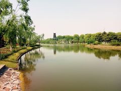 -上海鲜花港