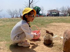 -伏羲山旅游区