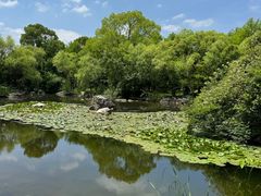 -上海吴淞炮台湾国家湿地公园