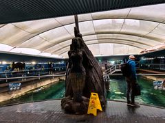 -悉尼海洋生物水族馆