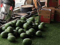 -庞各庄翠芳园西瓜蔬菜基地采摘园