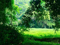 -大屏嶂森林公园