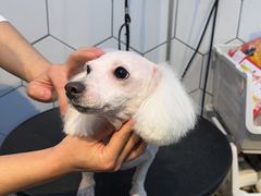 -萌兽医馆·眼科·异宠专科(三里屯店)