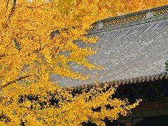 -钱王祠
