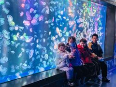 -海合安成都极地海洋公园